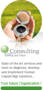 Consulting Consulting